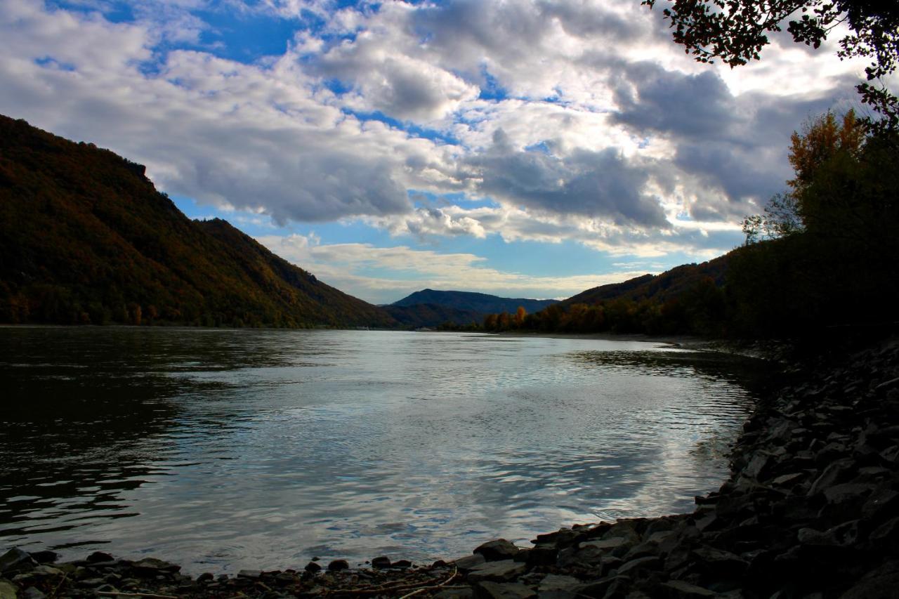 Haus-Donau In Der Wachau Apartment Aggsbach Екстериор снимка