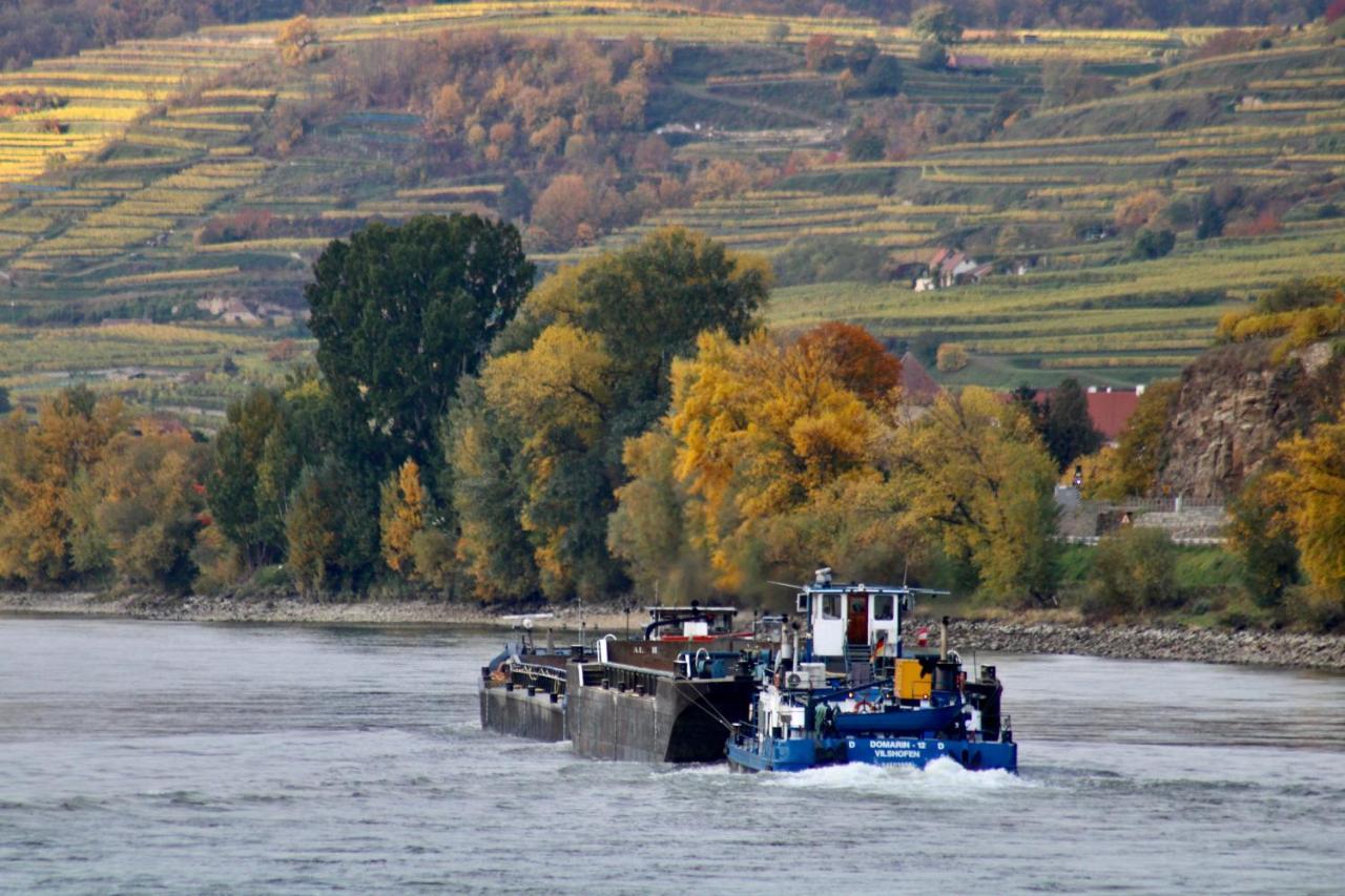 Haus-Donau In Der Wachau Apartment Aggsbach Екстериор снимка