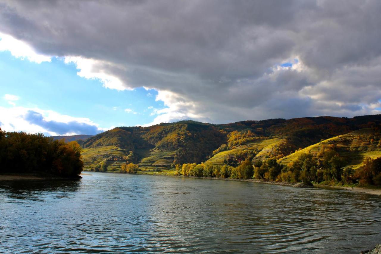 Haus-Donau In Der Wachau Apartment Aggsbach Екстериор снимка