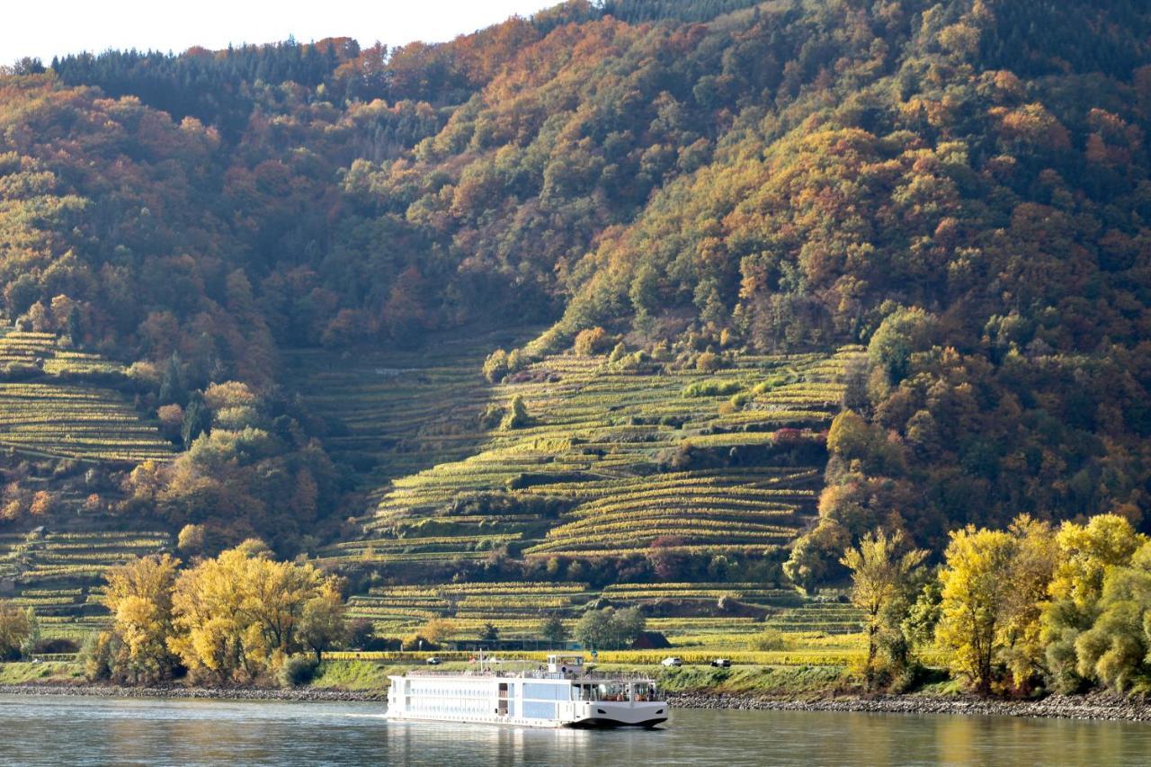 Haus-Donau In Der Wachau Apartment Aggsbach Екстериор снимка